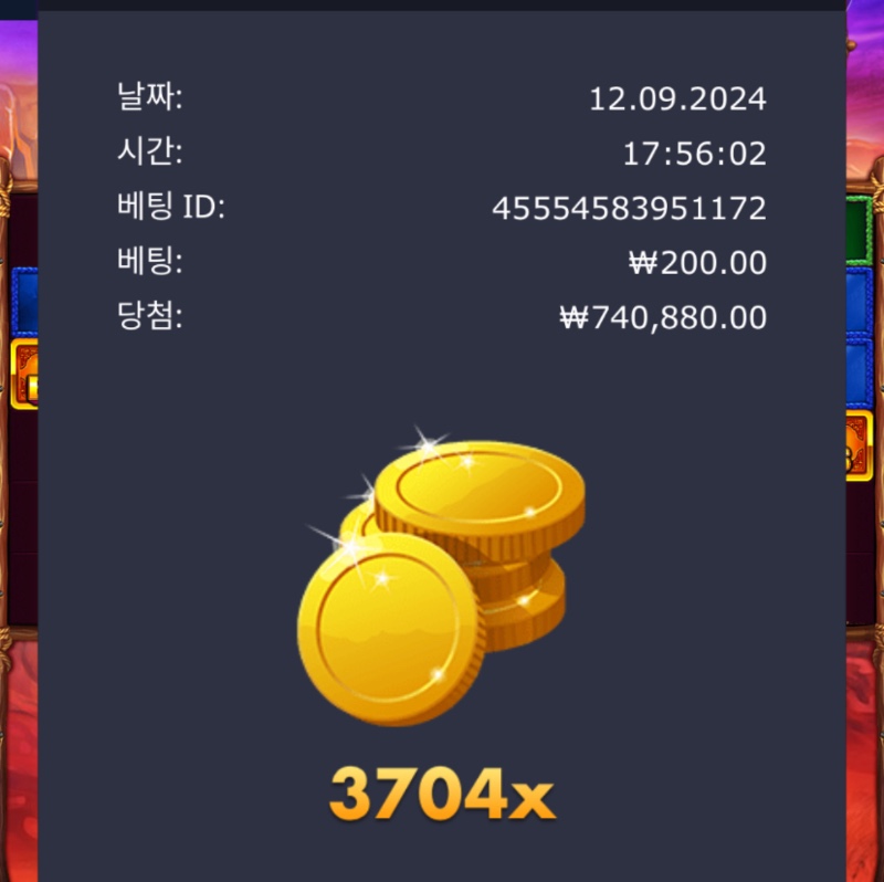 버메가 3704배