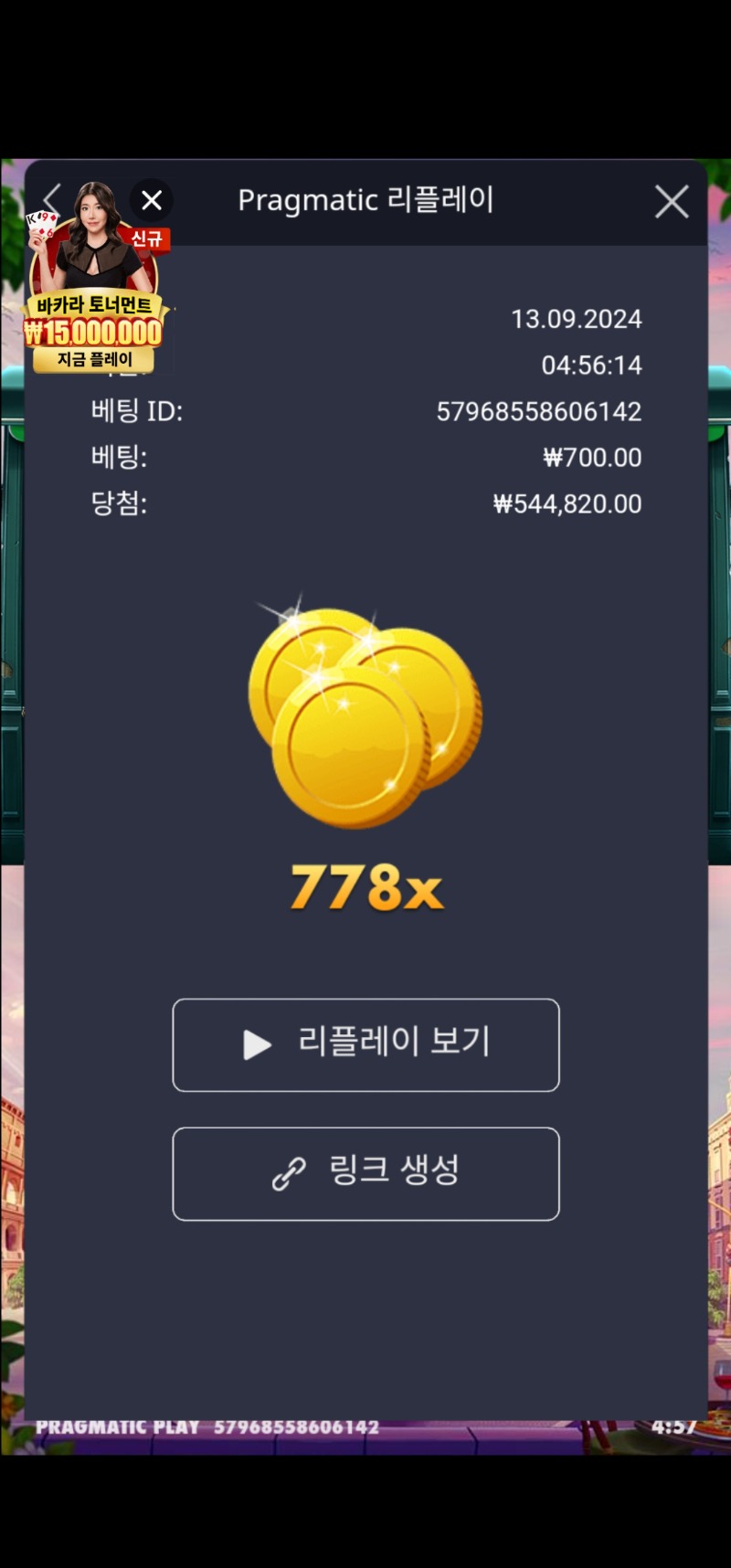 홀리데이라이더 778배