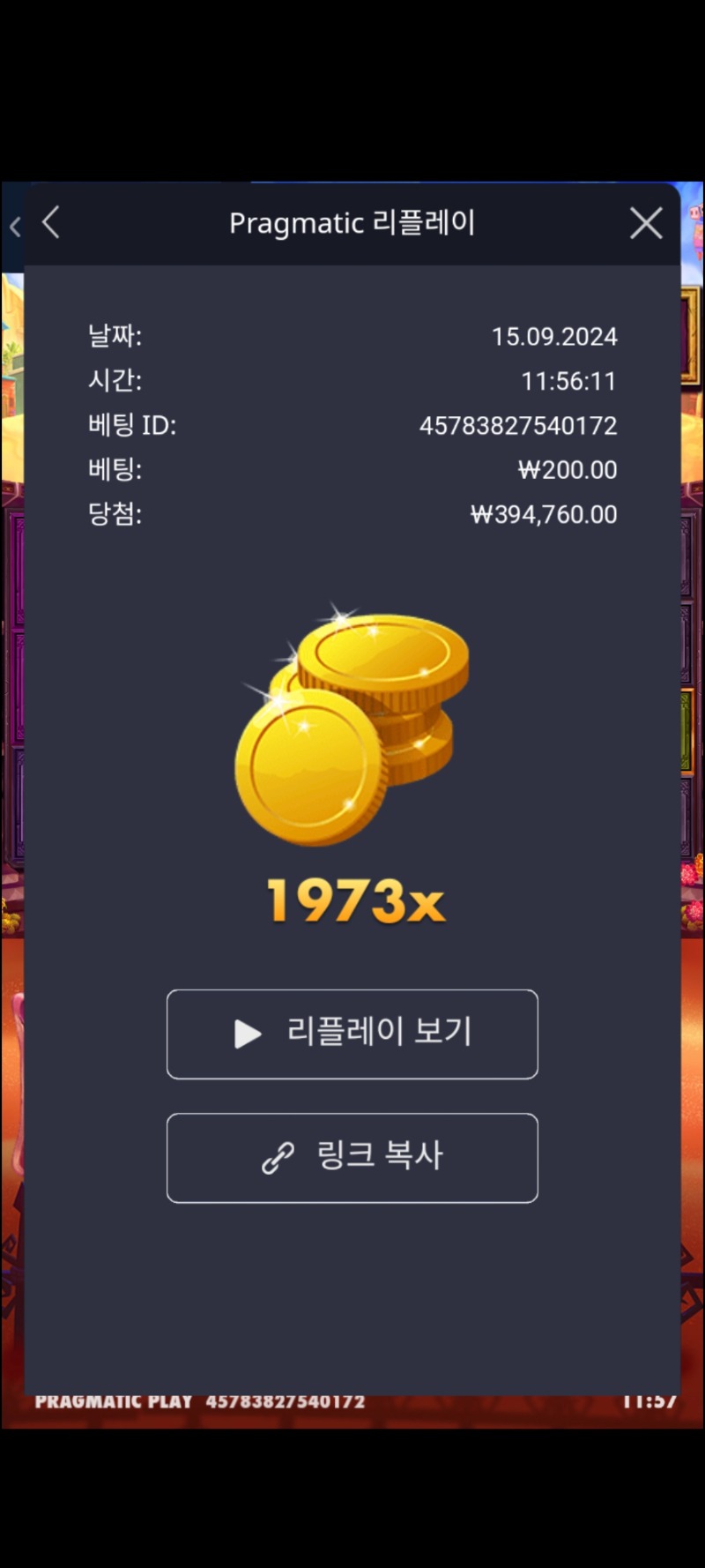 무에르 1973배