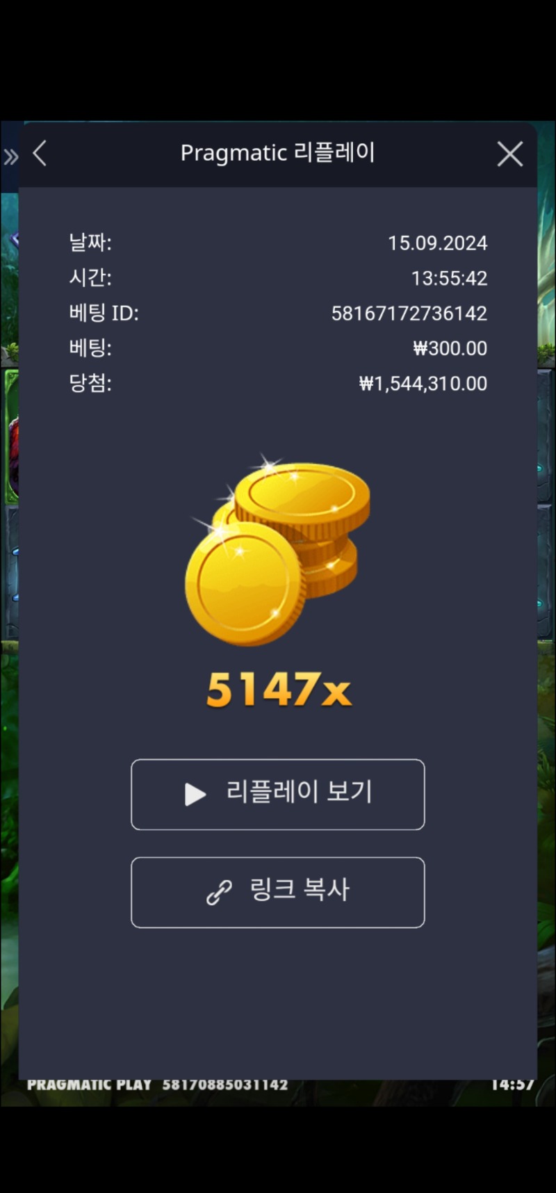 멀린 5,147배