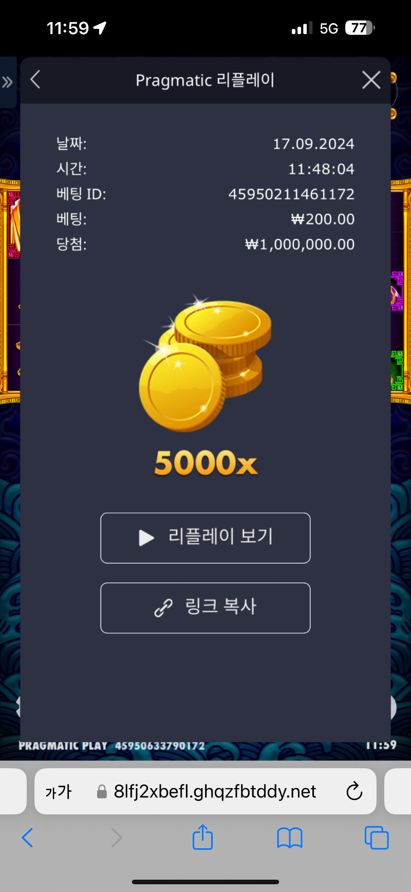 오라매 5000배