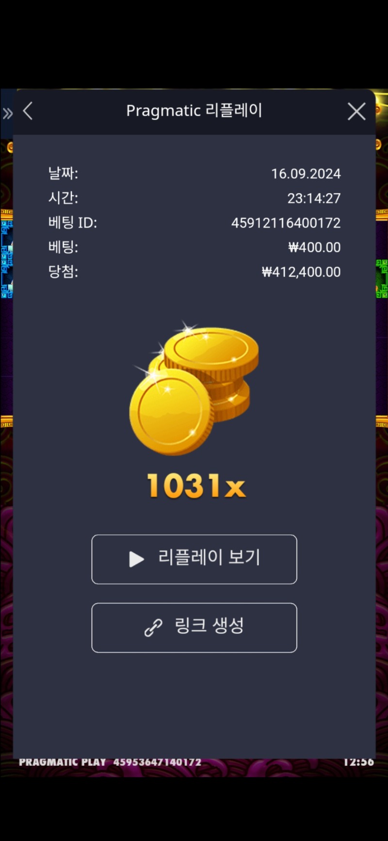 토라메 1031배