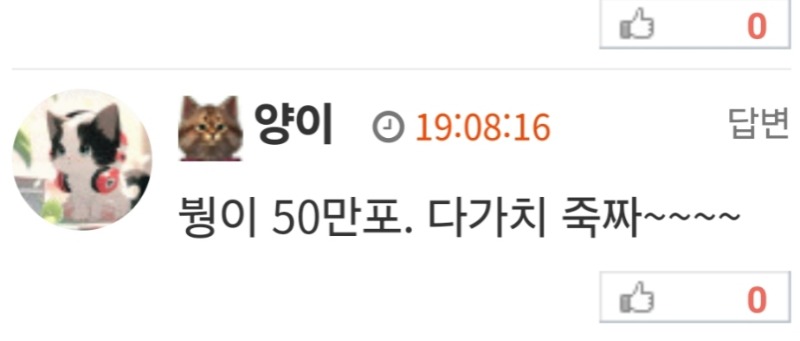 양이 너엇 두고보자!!ㅠ