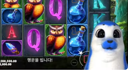 살찐 쿤인가 ? 못생긴 상어 일까 ?