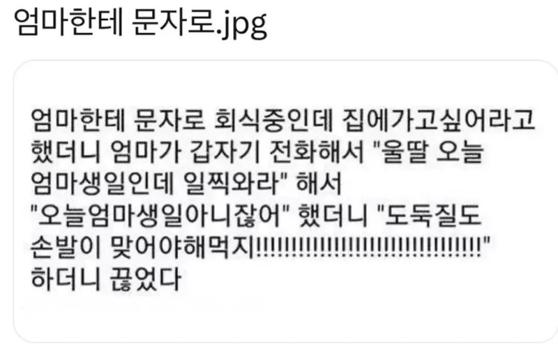 딸 ㅋㅋㅋㅋㅋ눈치 제로