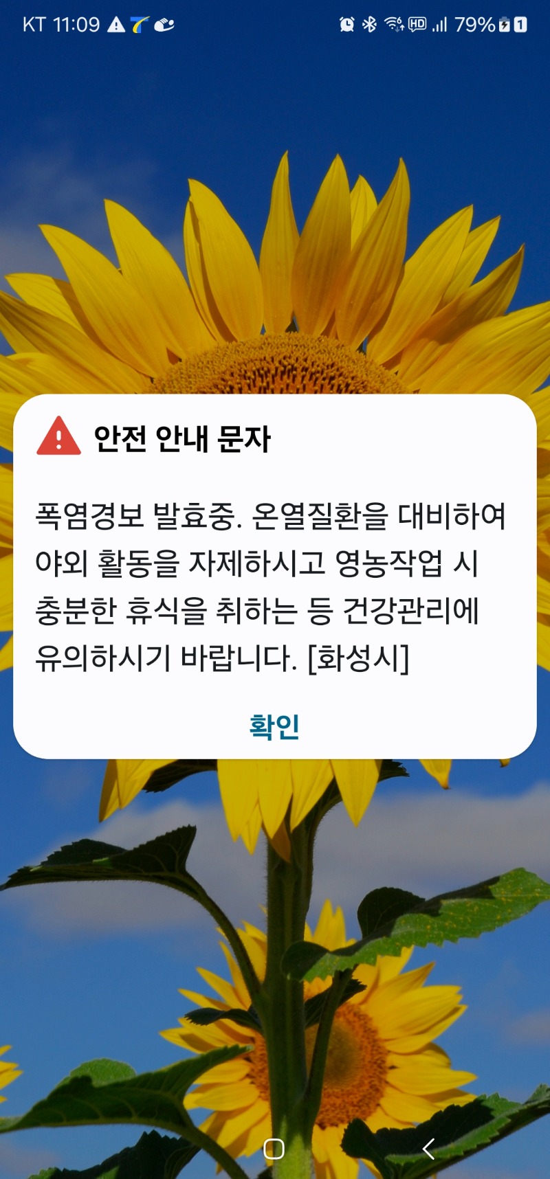 어제에 이어 폭염주의보