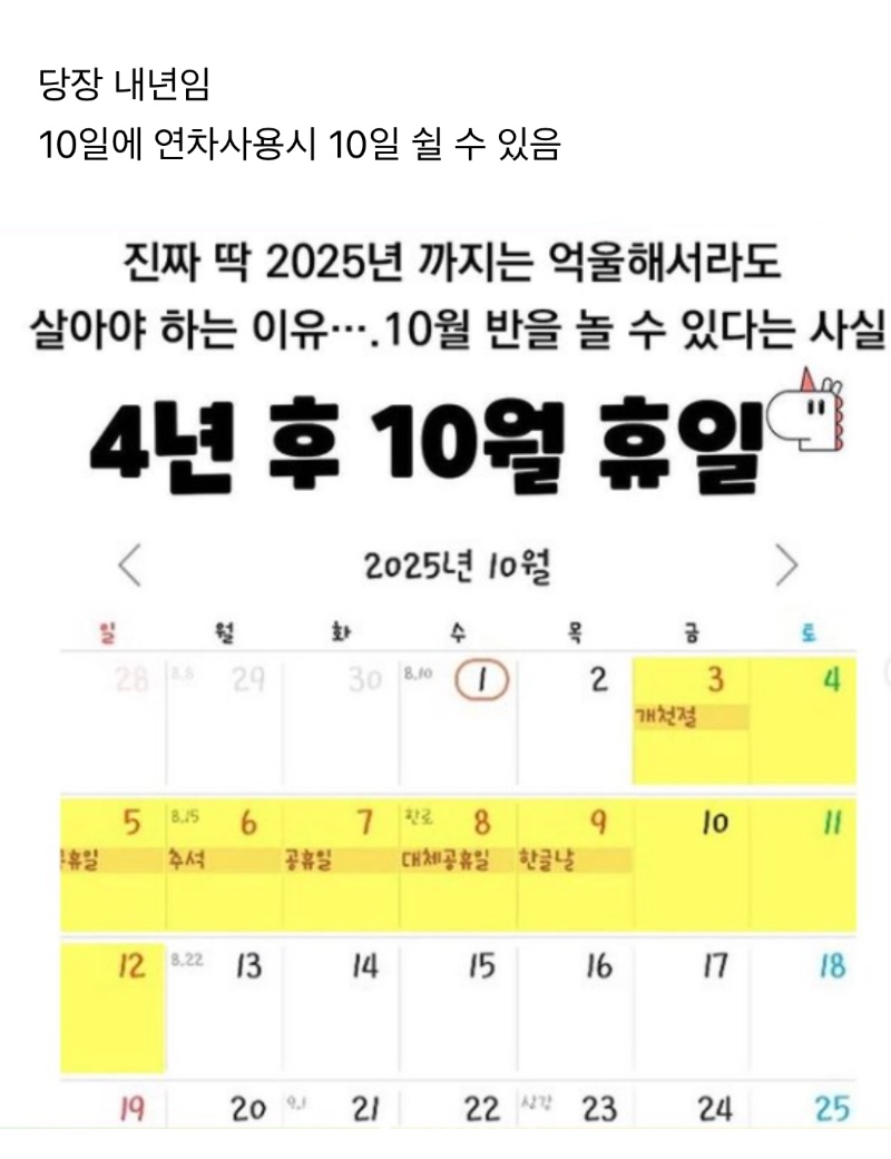 과거 떠돌던 2025년 까지 회사를 다녀야 하는 이유