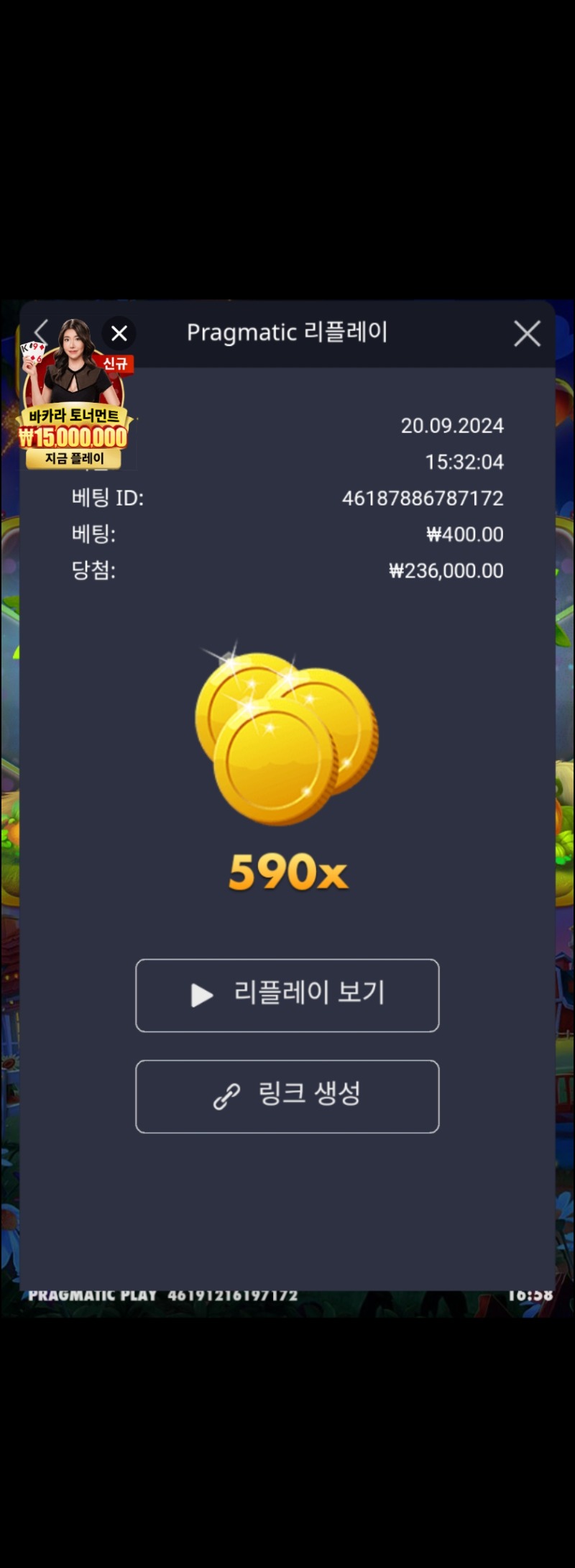 반페 만두 590배