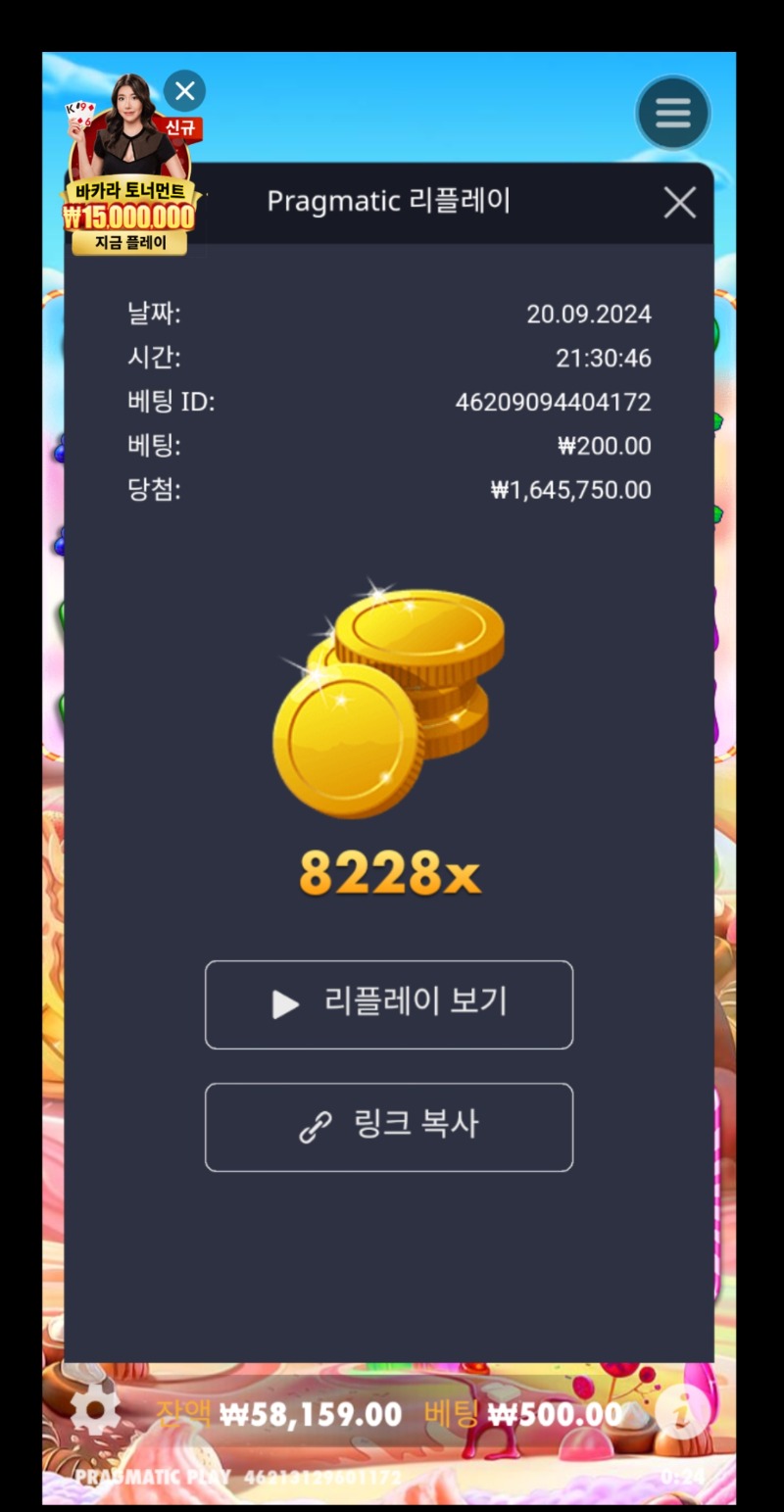 스천8228배