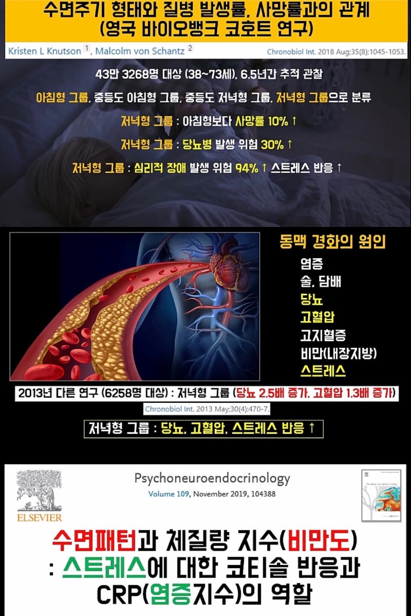 아침형인간 vs 저녁형인간 건강상태