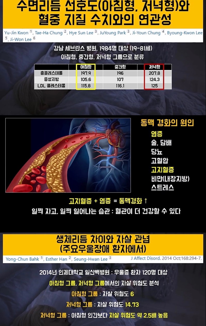 아침형인간 vs 저녁형인간 건강상태