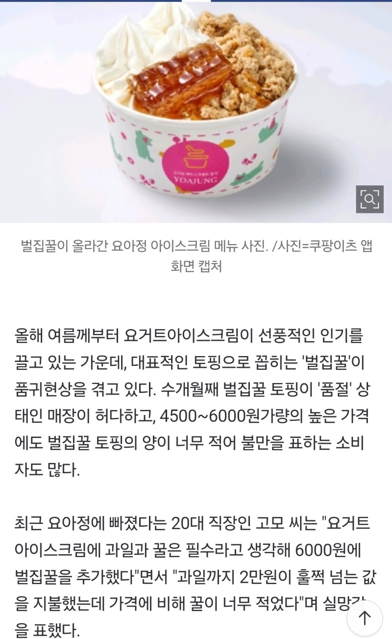 요즘 벌집꾼 대란