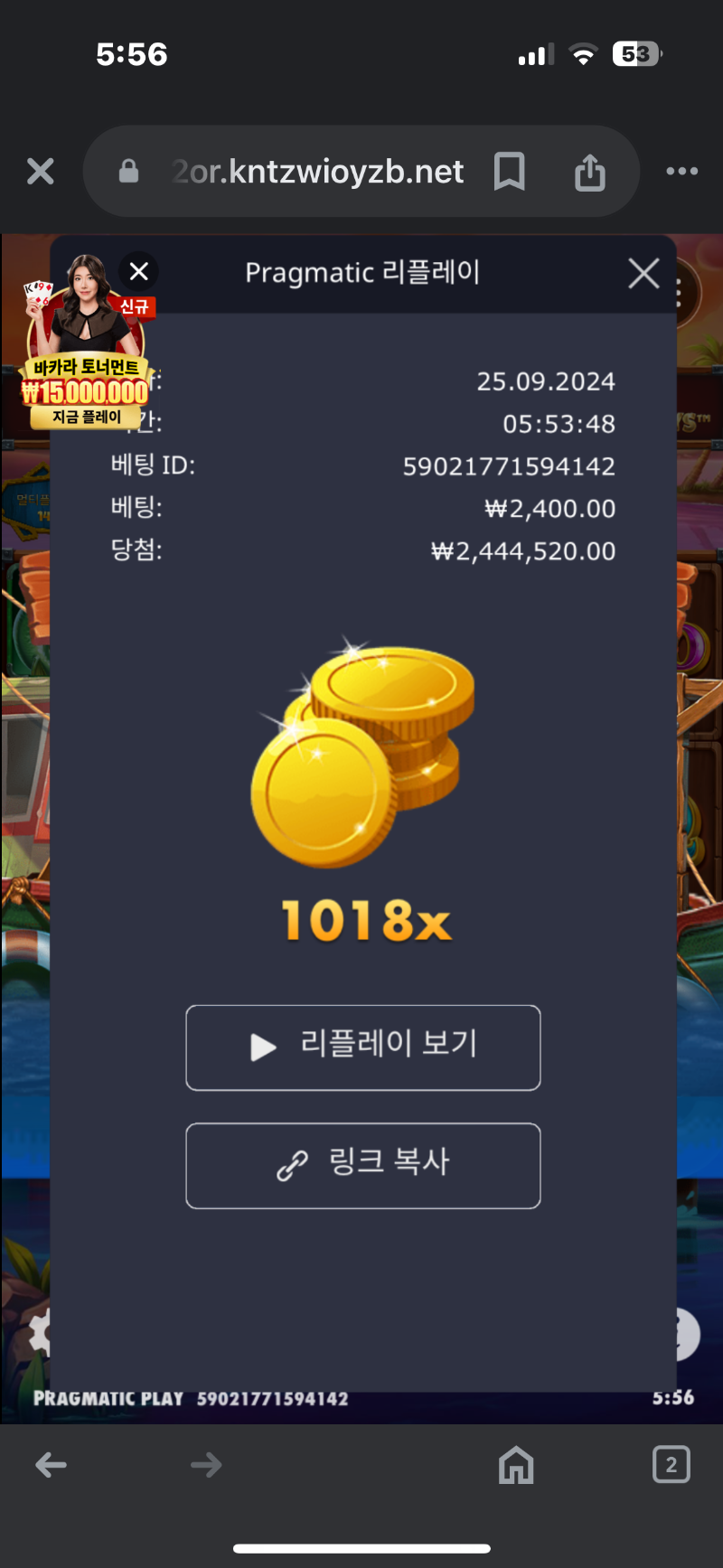 럭키피싱 1018배