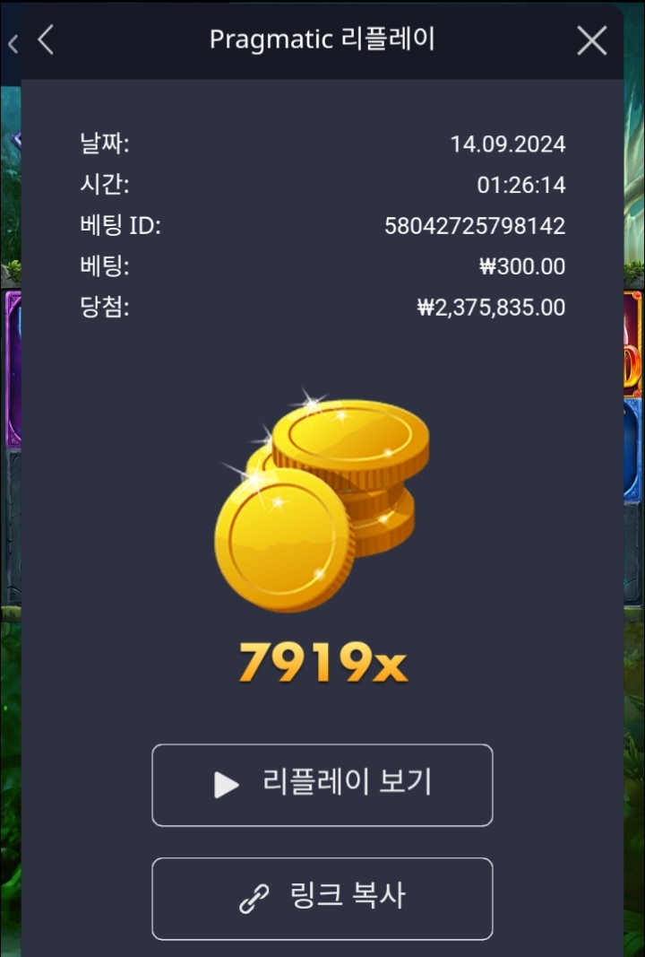 멀린 7919배