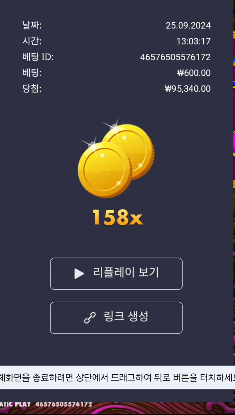 토라메 158배