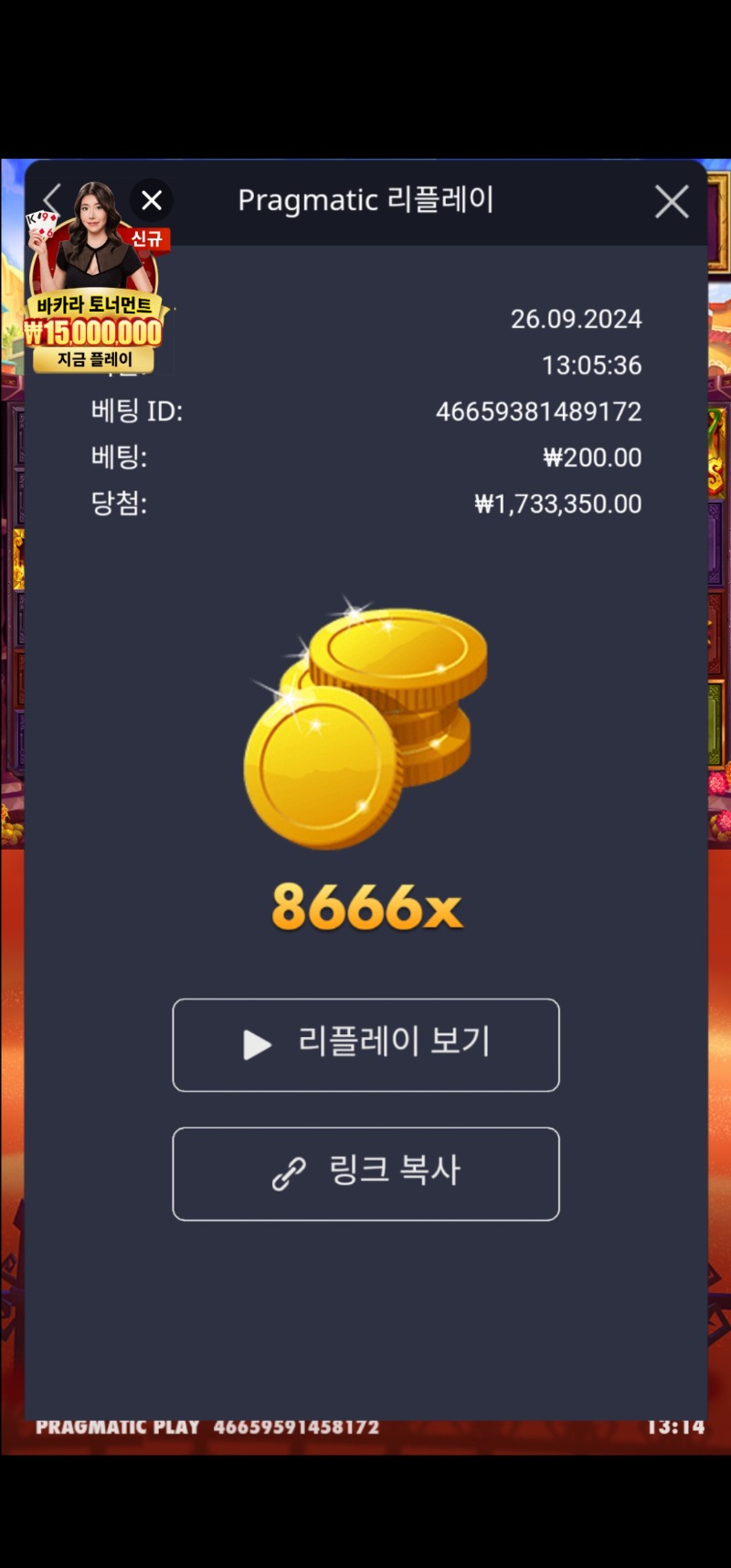 무에르 8666