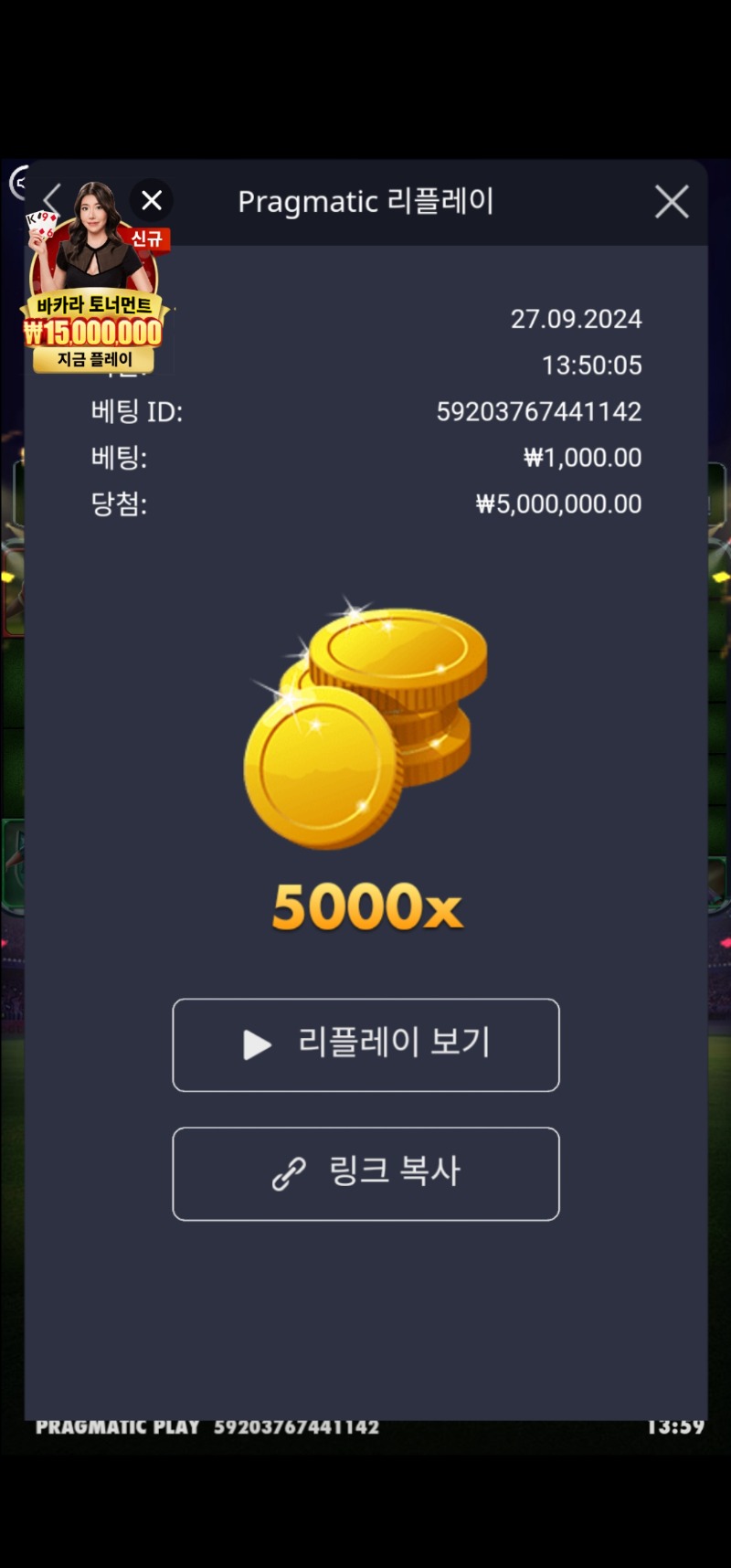 샤커 5000배