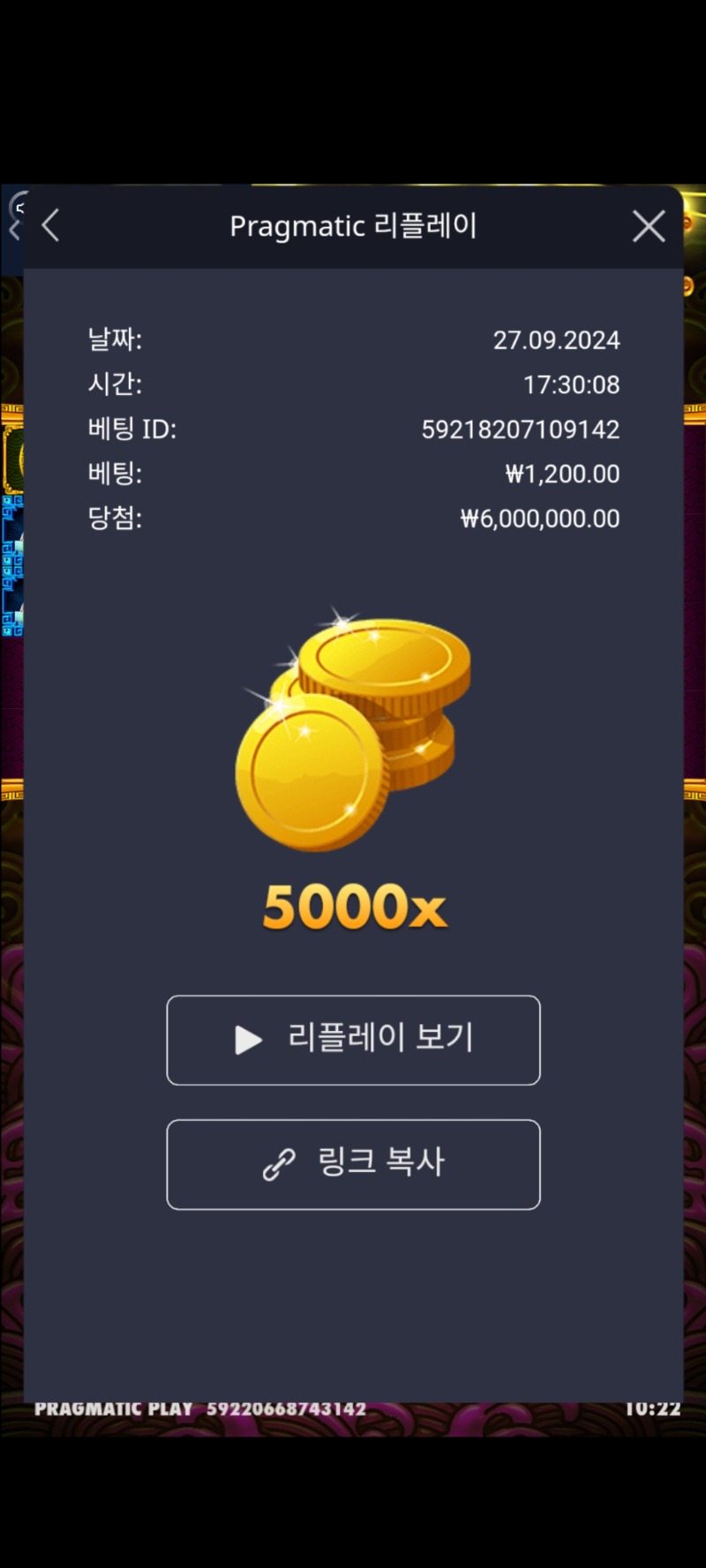 토라매5000