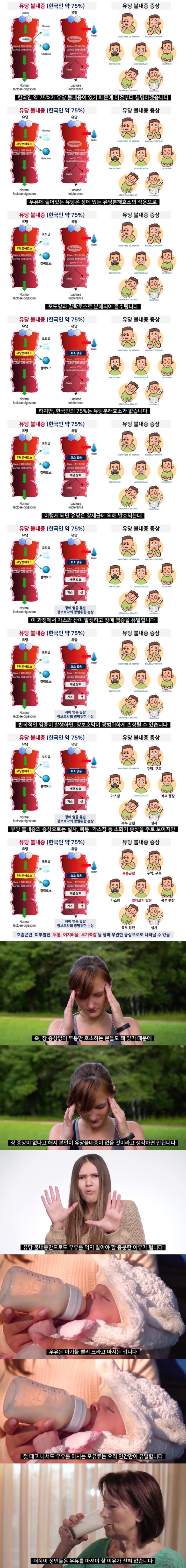 한국인이 우유 마시면 안 되는 이유