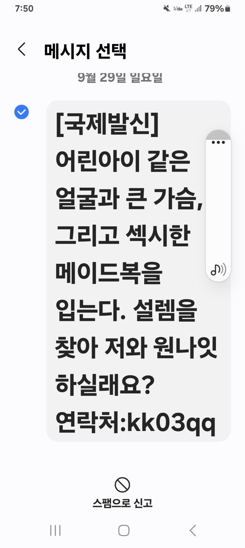 하다하다 이젠이런스펨문자까지??