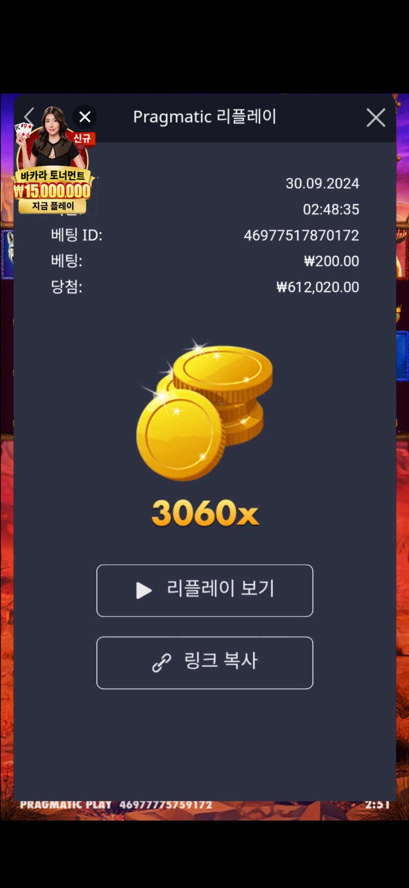 버메가 3060배