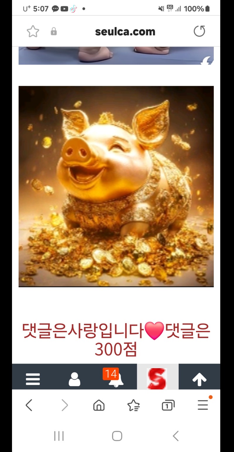 형제들 슬카 화이팅!!