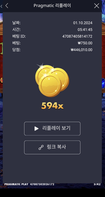 마담 594배