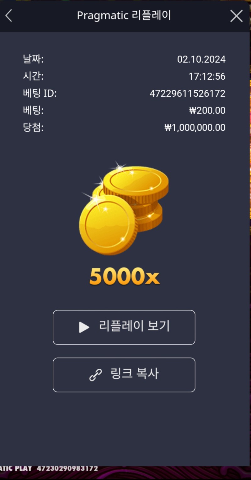 토라메 5000배