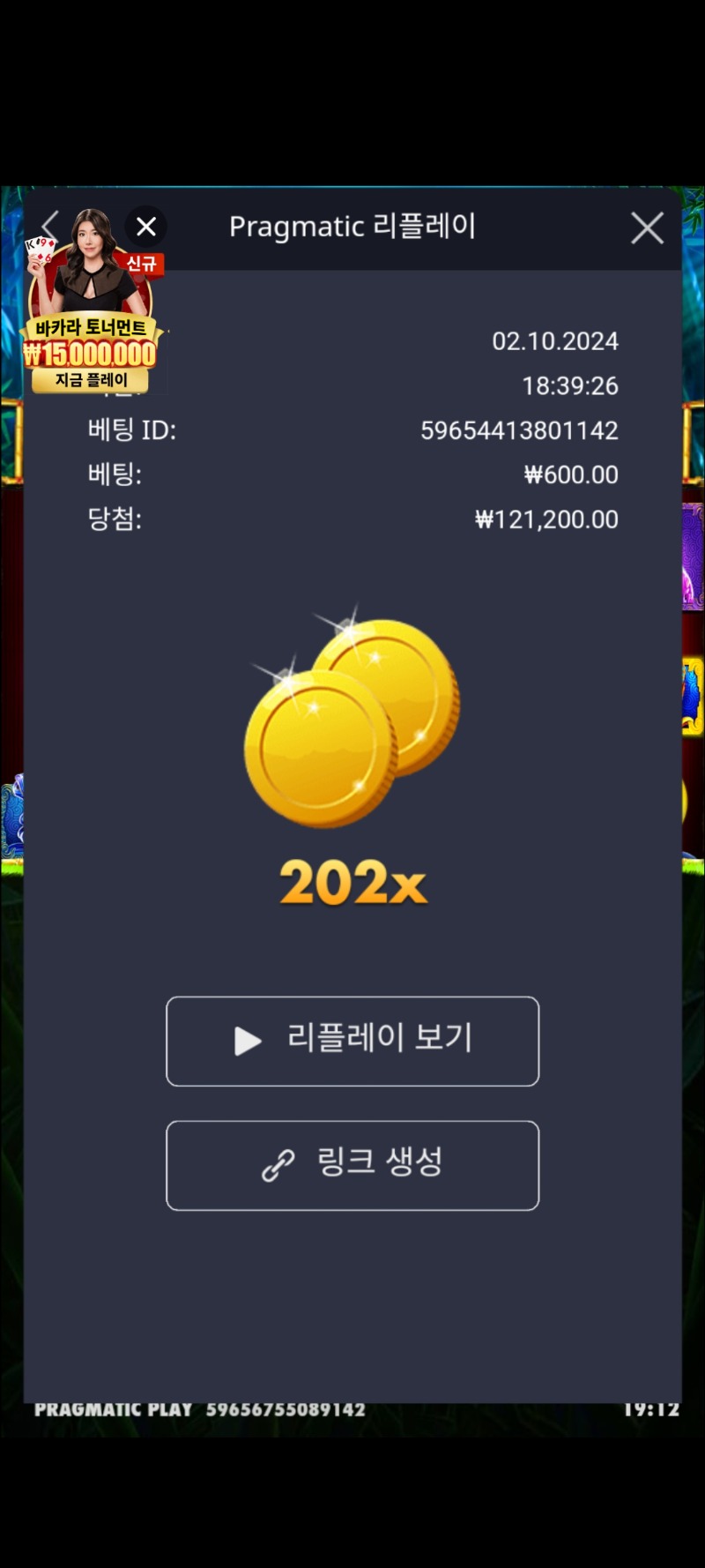 판다1. 202배