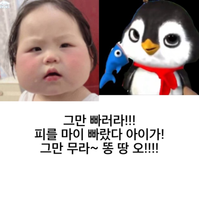 펭이 괴롭히기 1탄