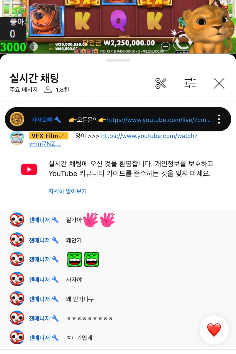 ㅋㅋㅋ사자안간줄알곸ㅋㅋ쌩쑈했네