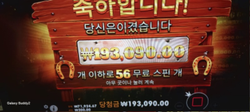 머스텡 965배