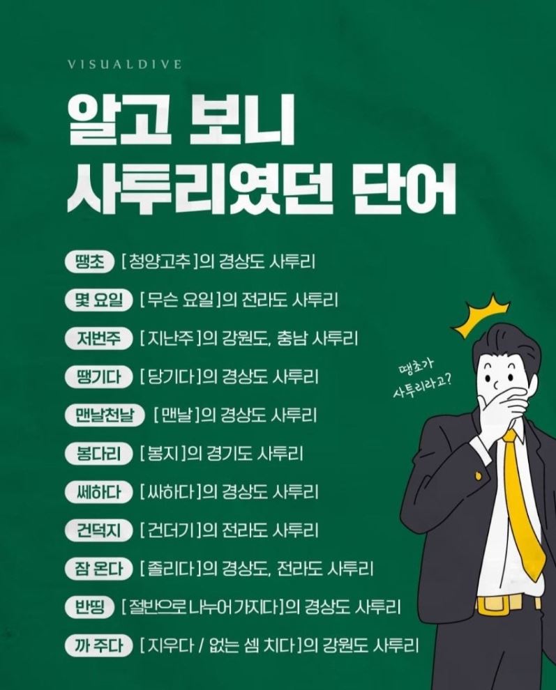 알고 보니 사투리인 단어들