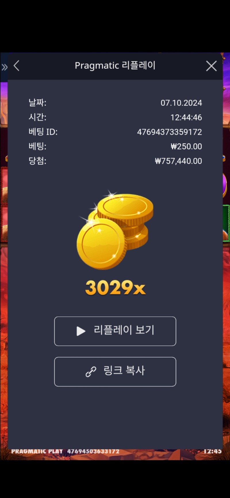 버메가 3029배