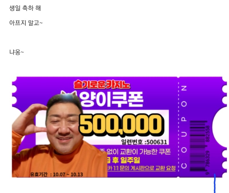 양이가 준 생일쿠폰