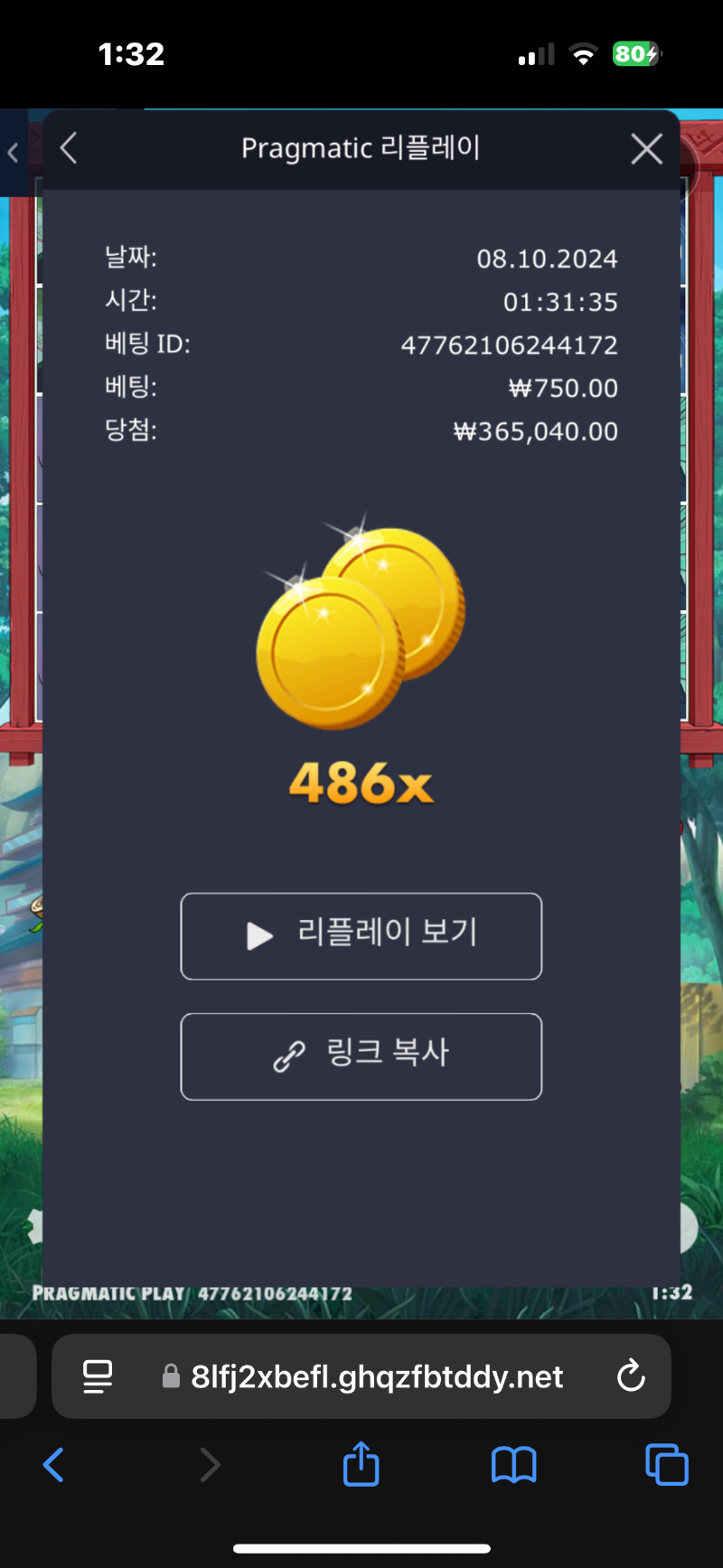 닌자486배