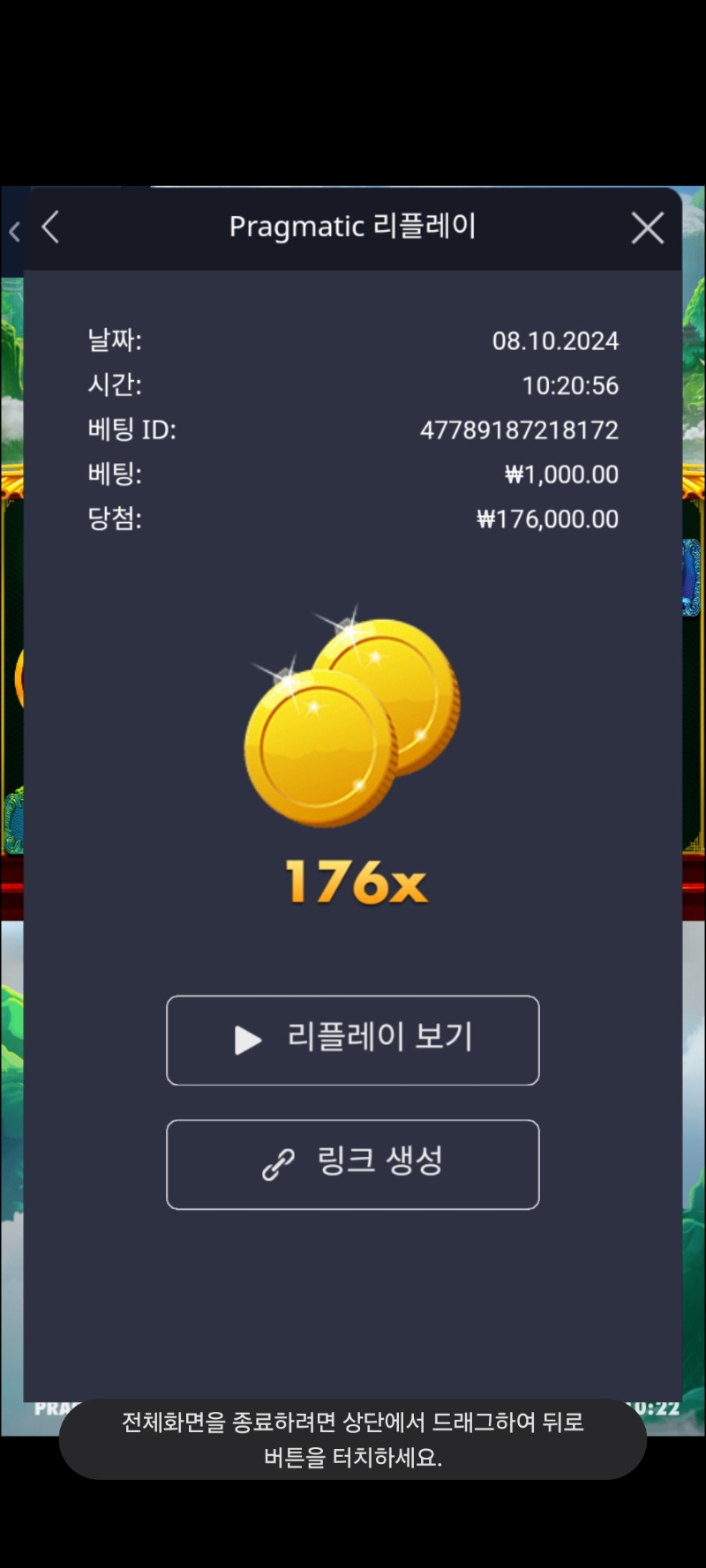 팬더2  176배