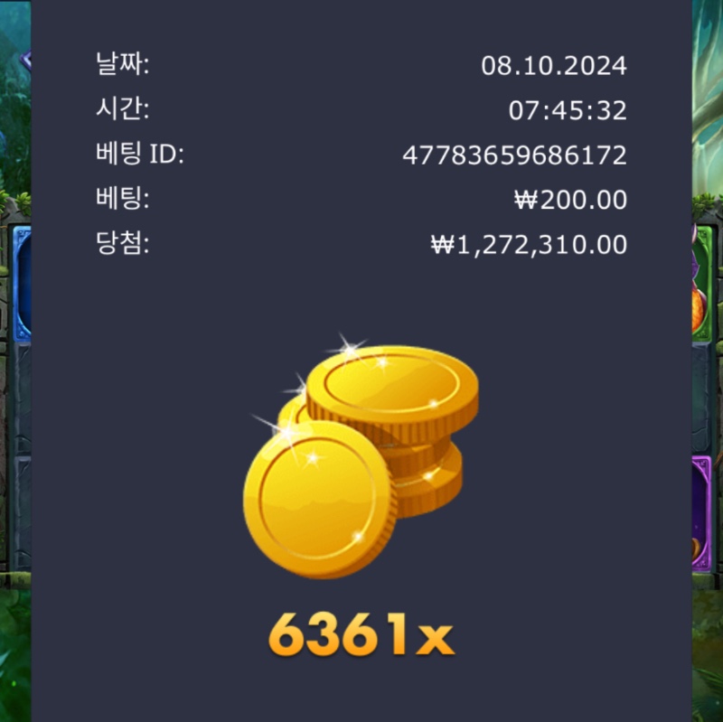 멀린 6361배