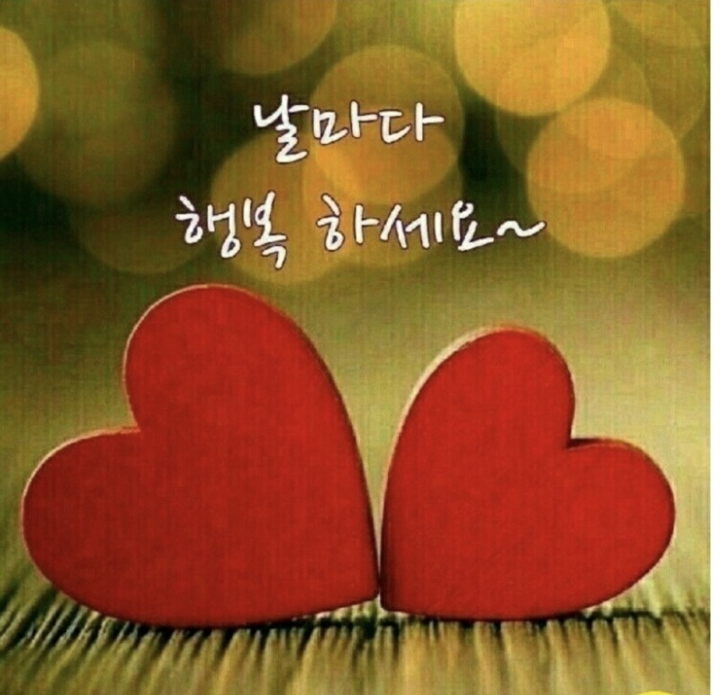 ❤️만두♡자기야❤️