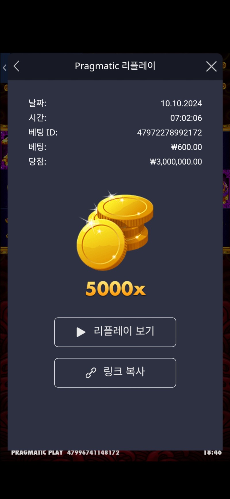 오라매 5000배