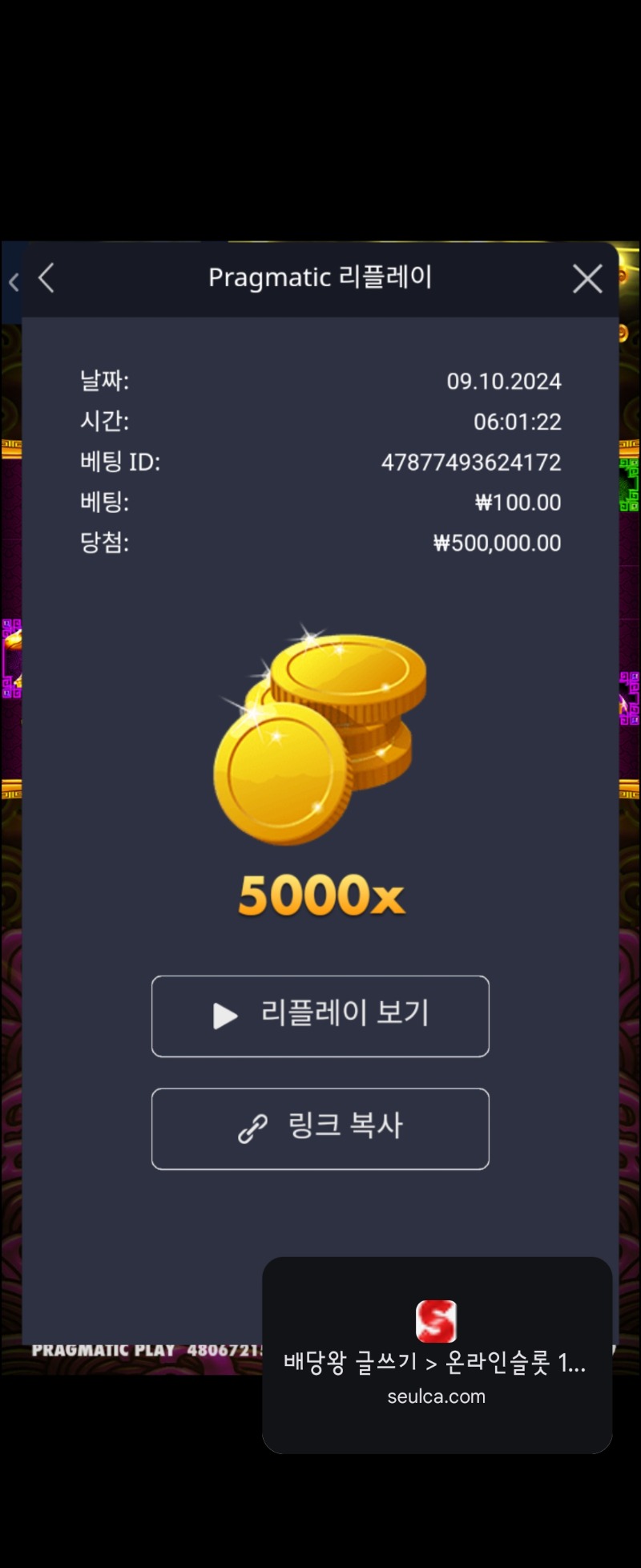 토라메5000