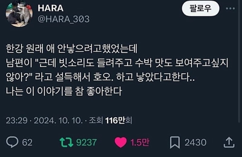 한강 작가가 딩크를 그만두게 된 계기