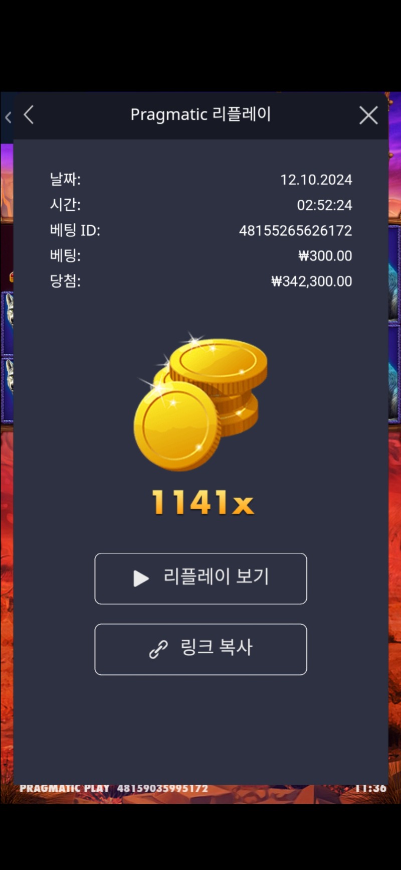 버메가 1141배