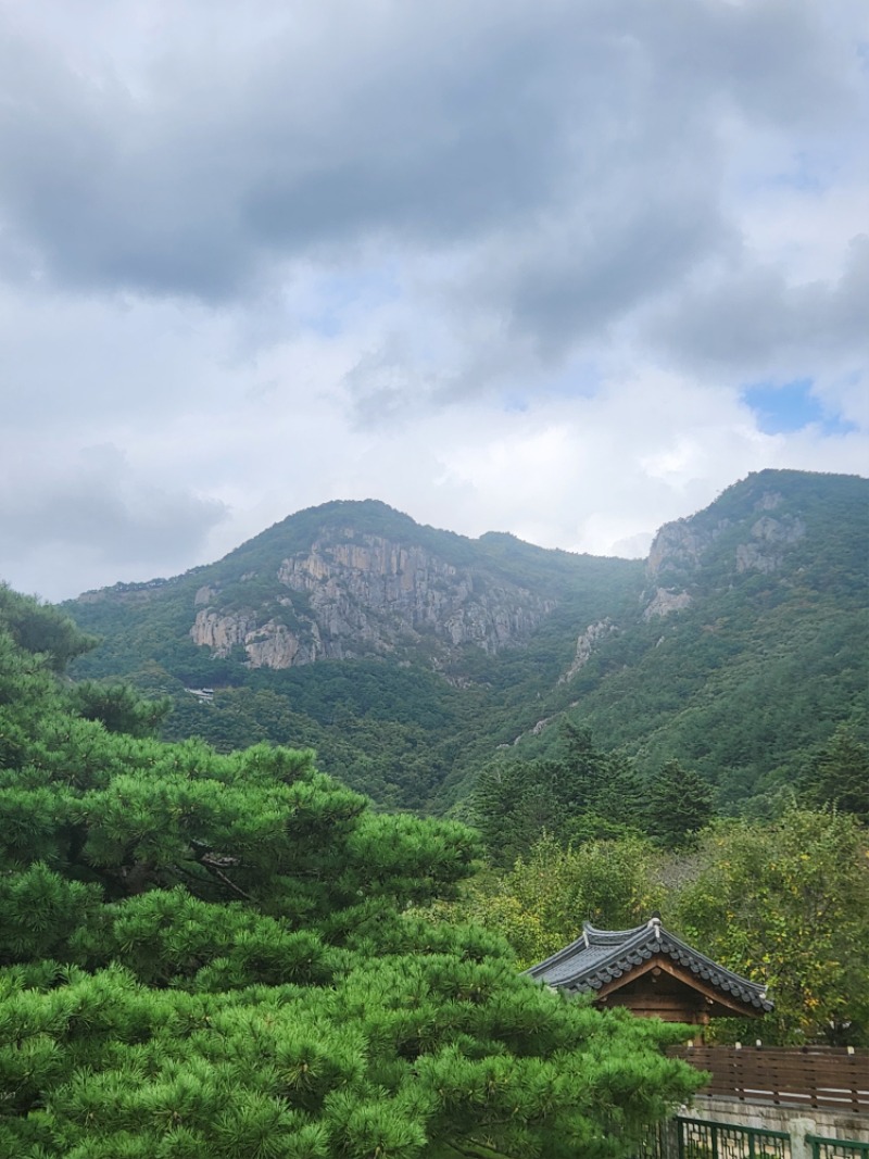 운문사쪽ㅎ 드라이브용