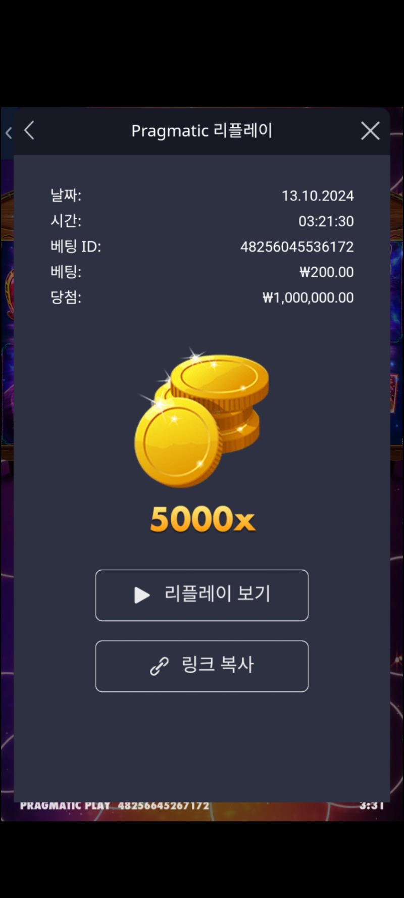 마담 5000배