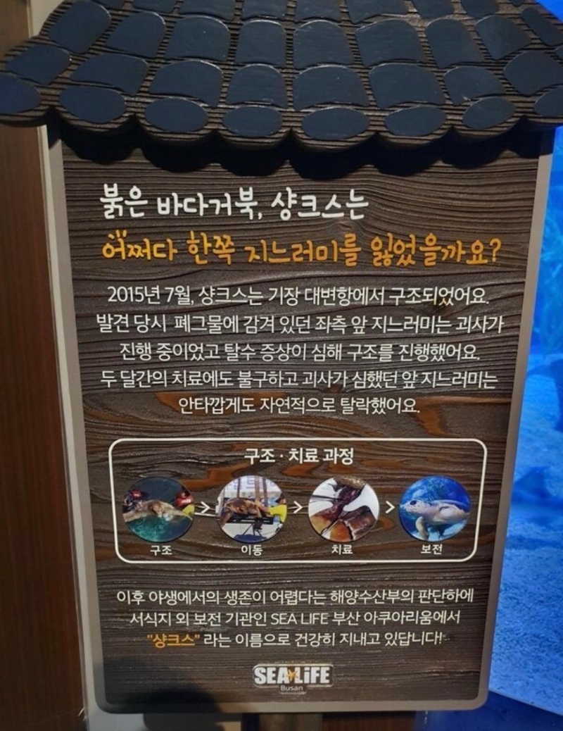 부산에 있다는 샹크스