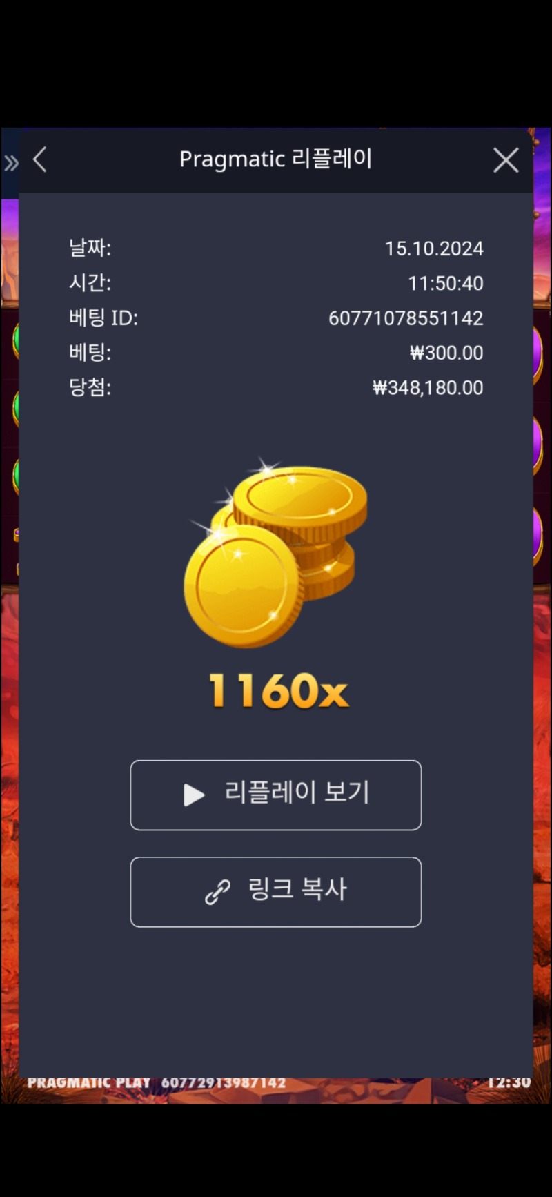 버메가 1160배