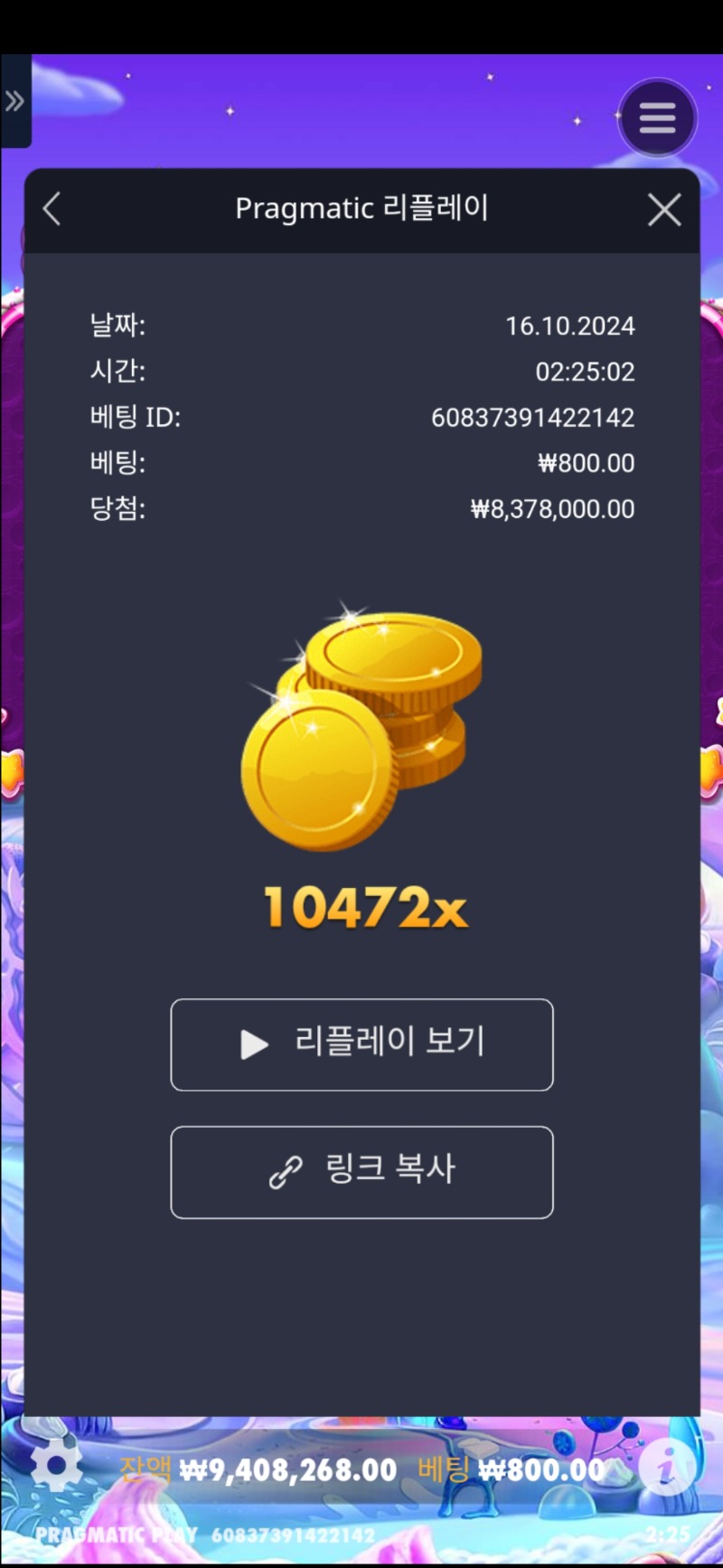 보난자  10472