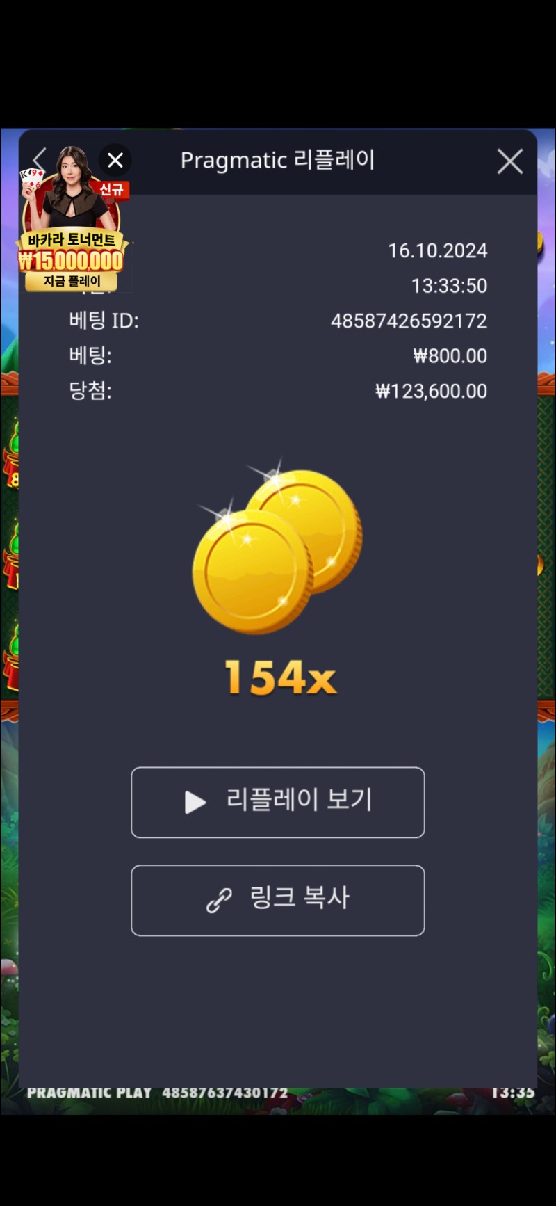 클로버골드 154배