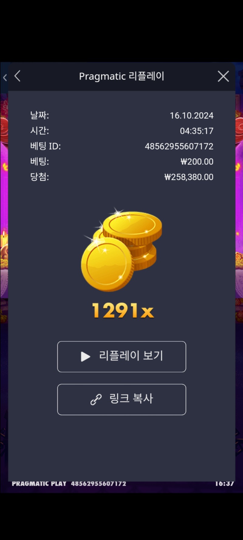 무에르 1291배